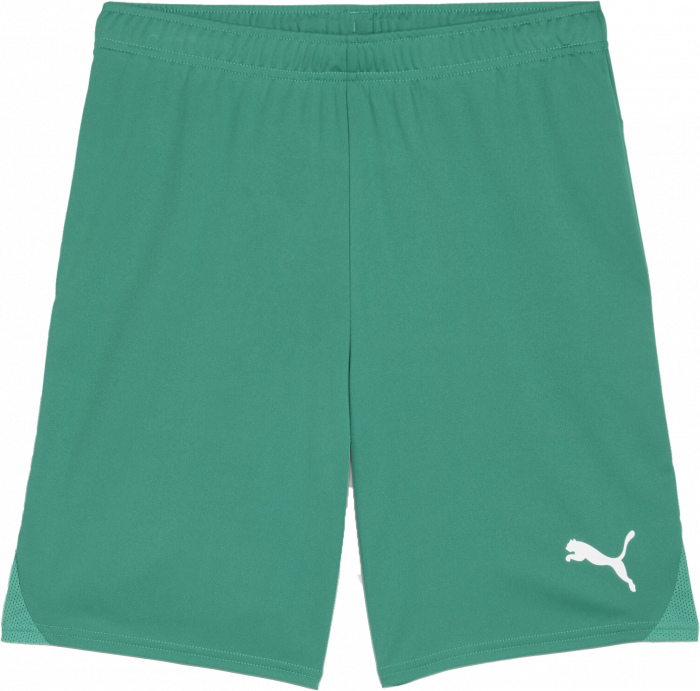 Puma - Teamgoal Shorts - Grøn & hvid